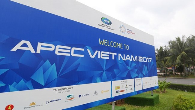 2017年APEC会议：肯定越南的新视野和地位 hinh anh 1