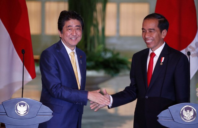 日本与印尼巩固战略伙伴关系 hinh anh 1
