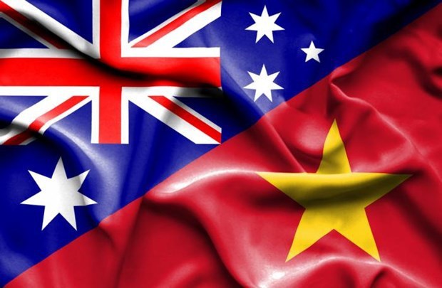 越南与澳大利亚举行第17次人权对话以线上形式举行 hinh anh 1