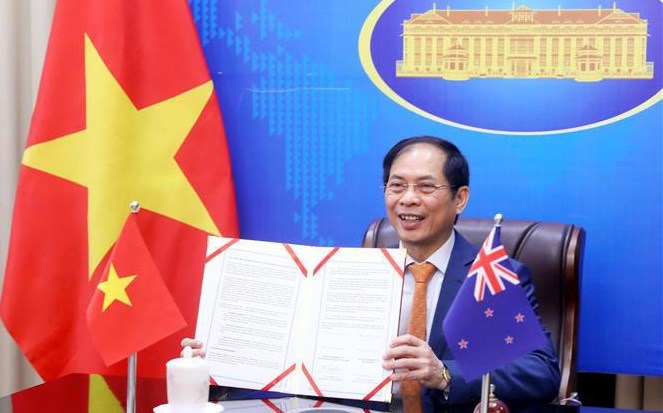 越南与新西兰促进多方面合作关系 hinh anh 1