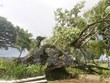 超强台风袭击斐济 越南国家领导人向斐济共和国领导人致慰问电