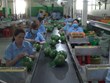 2022年是越南农产品“大获全胜”之年