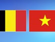 越南—比利时合作关系方兴未艾