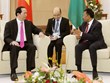 越南国家主席陈大光与马达加斯加总统举行会谈
