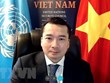 越南与联合国安理会：通过有关利比亚局势的两份决议并就防止大规模杀伤性武器进行讨论