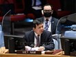 越南与联合国安理会：越南敦促各方接受联合国提出的也门和平倡议