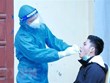 17日越南新增16378例新冠肺炎确诊病例  死亡179例
