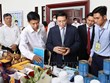 越南政府总理：构建开放、透明、公正、安全、高效、可持续的投资生态与环境