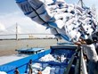 建立可持续的大米出口供应链