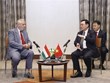 越南国会主席王廷惠会见匈牙利-越南友好协会领导