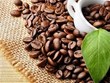 越南对美的咖啡出口机会不断扩大