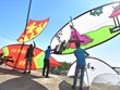 全国风筝节弘扬越南传统文化价值
