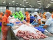 墨西哥成为越南查鱼第三大出口市场