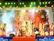 “2022年你好越南文化节”在庆和省拉开帷幕