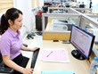 宁平省建立数字业务技术平台  全面加强税务管理