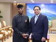 越南政府总理范明政会见尼日利亚副总统耶米