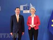 越通社驻比利时大使阮文草：推动越南—欧盟合作关系迈上新高度