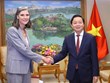 越南政府副总理陈红河会见UNDP和USAID驻越南首席代表