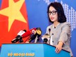外交部例行记者会：越南坚决和非法移民作斗争