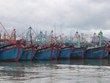 越南渔业工会：提高会员关于海洋及岛屿和打击 IUU 捕鱼的认识