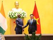 越南与科特迪瓦推动经贸合作