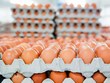 越南禽蛋已获得重新出口中国香港市场的许可