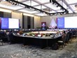 东盟与俄罗斯经济部长磋商会议会在印尼举行