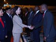 越南国家主席武氏映春对莫桑比克进行正式访问