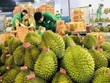 越南果蔬对中国出口一直保持增长势头