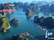 越南旅游业主动实施数字化转型以把握发展趋势