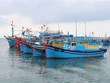 解除IUU黄牌警告：越南多省加大打击非法捕捞力度  为EC第四次检查做好准备