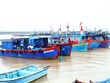 广平省与政府携手打击非法捕捞活动