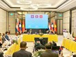加强柬老越三国在确保国防安全方面的议会间合作