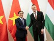 进一步加强越南与匈牙利和罗马尼亚两国之间的对外交往与合作