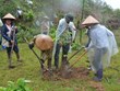 越南谅山省：居民履行村规民约   致力于森林保护工作 
