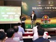 巴西-越南足球节即将在越南岘港市举行
