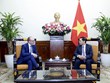 越南外交部长裴青山会见西班牙外交部国务秘书国马丁内斯·贝利奥