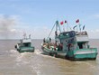 越南加强打击IUU捕捞的国际合作