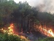政府总理要求在全国范围内大力实施森林火灾预防扑救措施