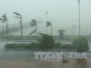 第十号台风登陆越南北部沿海地区 造成重大损失