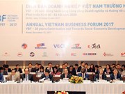 2017年度越南企业论坛（VBF 2017）正式开幕 （组图）