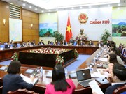 王廷惠副总理主持越南政府价格调控指导委员会会议（组图）