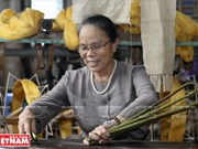 越南独特的荷花丝绸（组图）