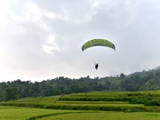 宣光省首次举行滑翔伞表演（组图）