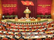 越共第十一届中央委员会第十四次全体会议在河内隆重开幕