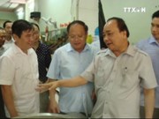 阮春福总理：胡志明市应制定绿色食品供应链发展规划