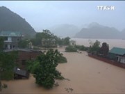 越南中部四省遭洪水袭击 致15死亡