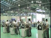 2016年前10月越南工业生产指数略增