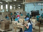 越南加大对欧盟市场木材与木制品出口力度