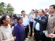 越南政府总理阮春福指导克服平定省洪灾后果